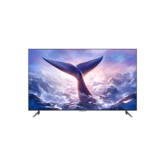 Redmi MAX 100英寸 巨屏电视 锖色 100 英寸